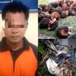 Satu Dari Dua Pelaku Curat Berhasil Di diamankan Tim Tekab 308 Polsek Padang Ratu