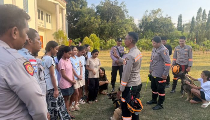 Selain Cari Korban, K-9 Polri Hibur Anak-Anak Korban Gempa di Mabar