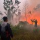 Api Karhutla Mengarah ke Permukiman, Regu 3 Posko Jekan Raya Bergerak Cepat