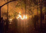 Hingga Pagi hari Personel Brimob Polda Kalteng Padamkan Karhutla di Desa Ugang Sayu
