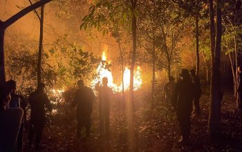 Hingga Pagi hari Personel Brimob Polda Kalteng Padamkan Karhutla di Desa Ugang Sayu
