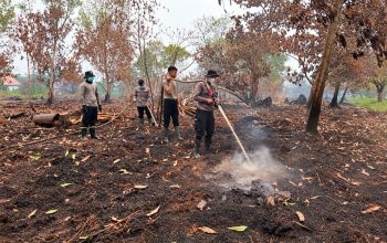 Kemarau Panjang Picu Karhutla di 4 Lokasi Kubu Raya, Polisi Bergerak Padamkan Api